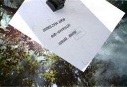 今日看料,揭秘最新资讯背后的故事